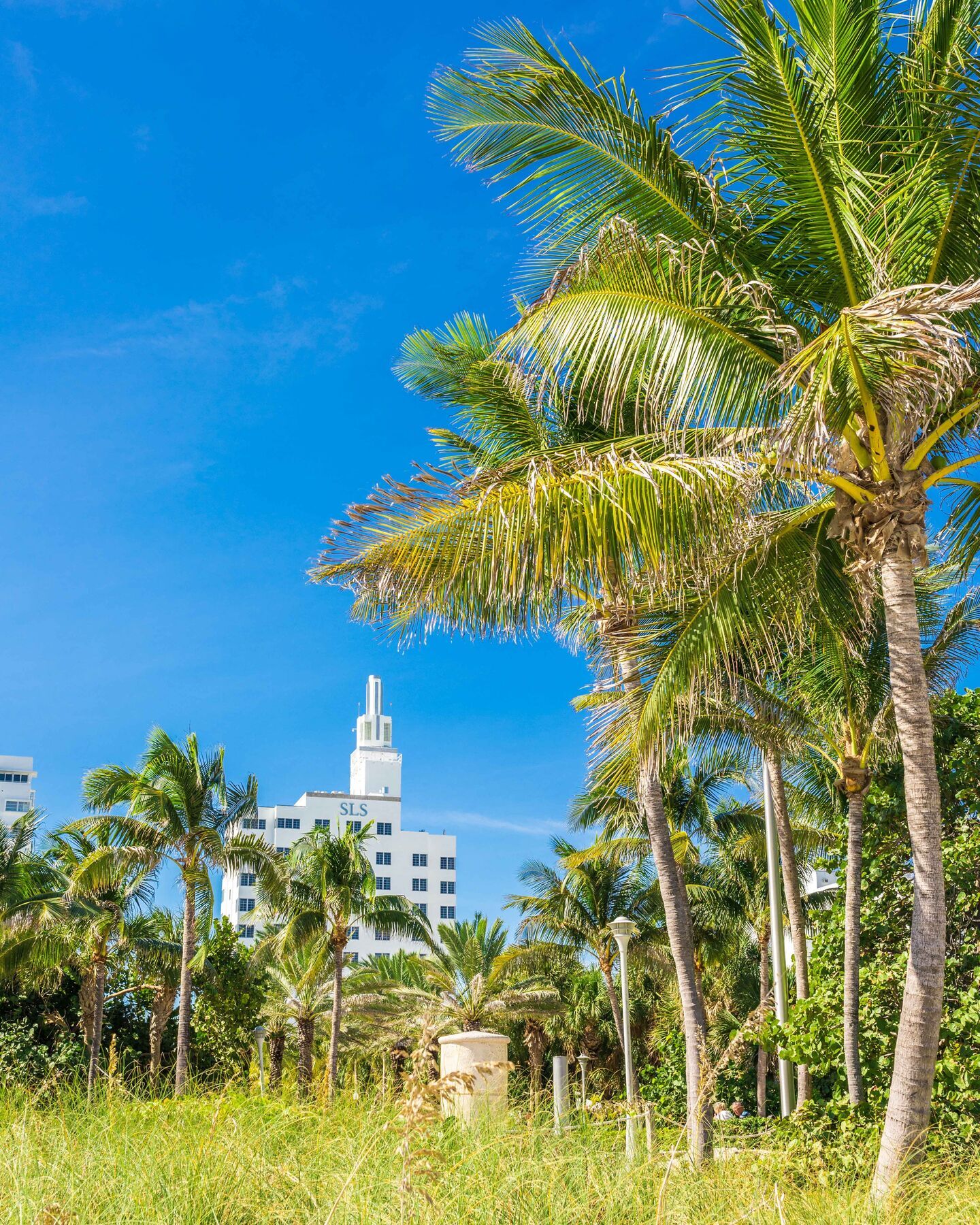 Sls South Beach (Adults Only) Miami Beach Esterno foto